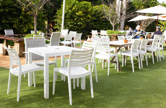 Tamborine Mountain Coffee Plantation