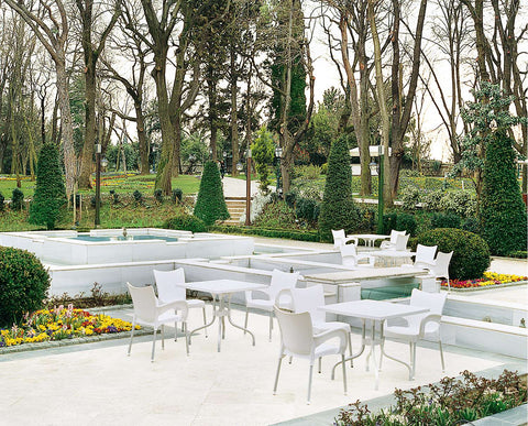 Siesta Romeo Arm Chair