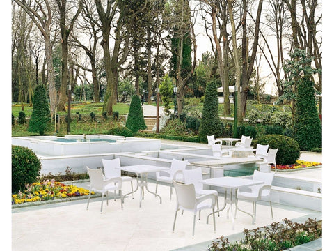 Siesta Romeo Arm Chair