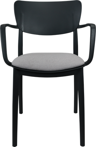 Siesta Lisa Arm Chairs  with Cushion