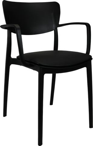 Siesta Lisa Arm Chairs  with Cushion