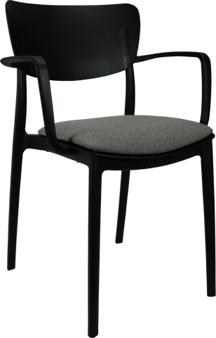 Siesta Lisa Arm Chairs  with Cushion