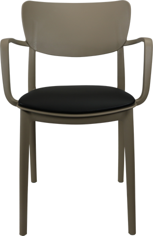 Siesta Lisa Arm Chairs  with Cushion