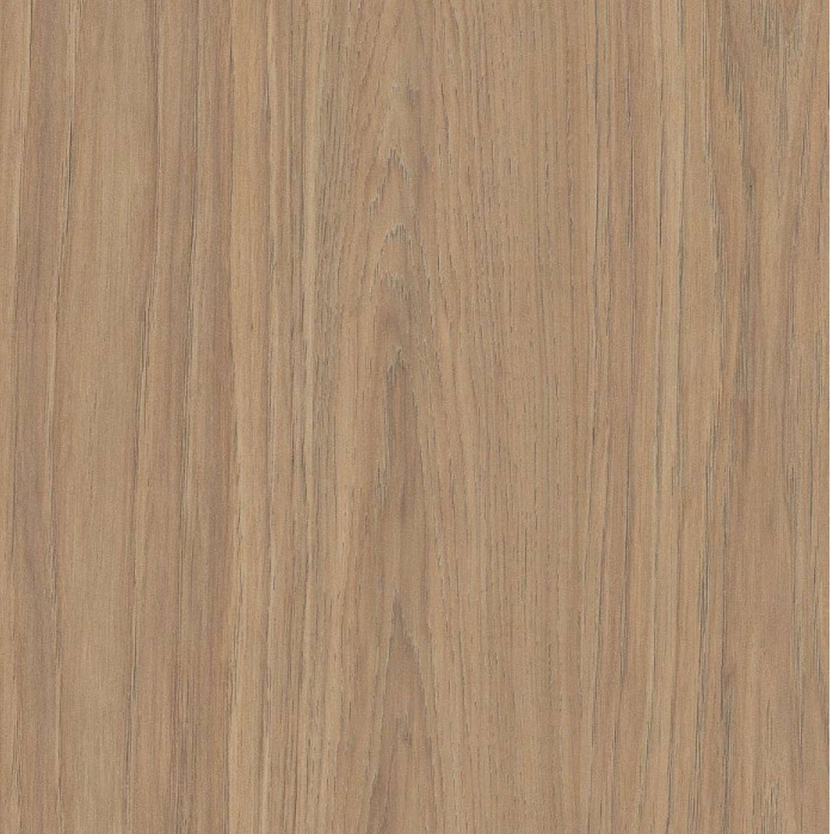 Compact Laminate Top - Prime Oak